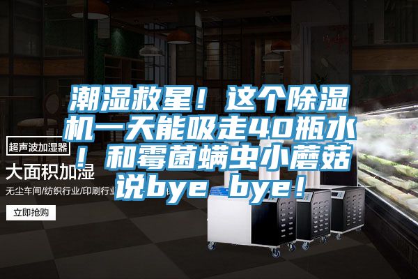 潮湿救星！这个小黄片直播视频一天能吸走40瓶水！和霉菌螨虫小蘑菇说bye bye！