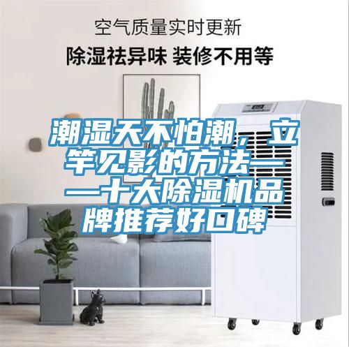潮湿天不怕潮，立竿见影的方法——十大小黄片直播视频品牌推荐好口碑