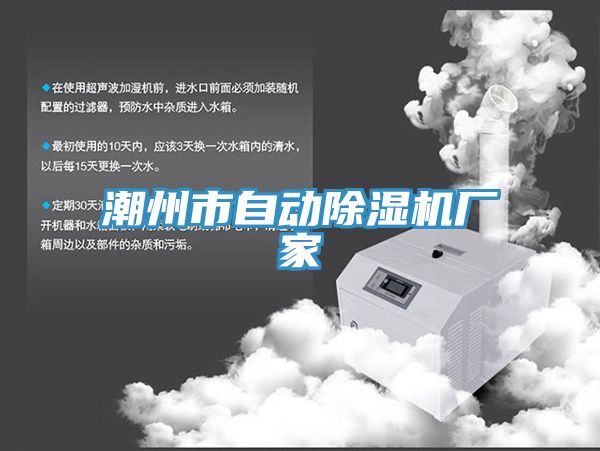 潮州市自动小黄片直播视频厂家