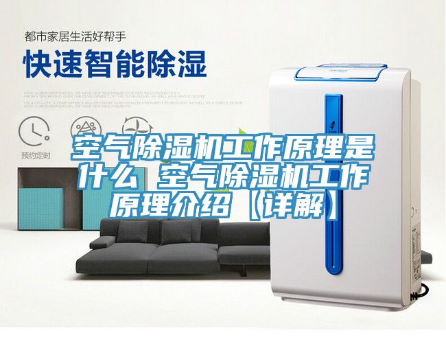 空气小黄片直播视频工作原理是什么 空气小黄片直播视频工作原理介绍【详解】