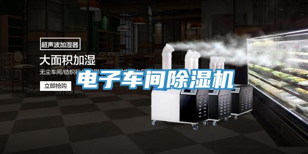 电子车间小黄片直播视频