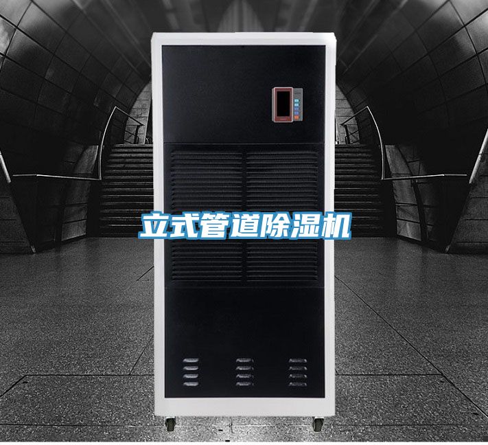立式管道小黄片直播视频