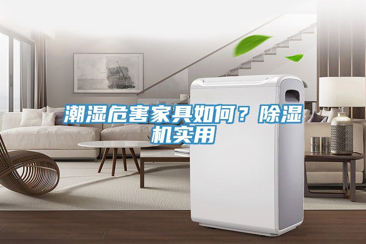 潮湿危害家具如何？小黄片直播视频实用