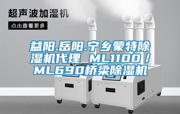 益阳.岳阳.宁乡蒙特小黄片直播视频代理 ML1100／ML690桥梁小黄片直播视频
