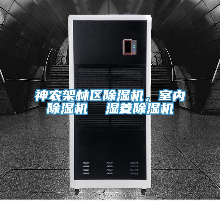 神农架林区小黄片直播视频，室内小黄片直播视频  湿菱小黄片直播视频