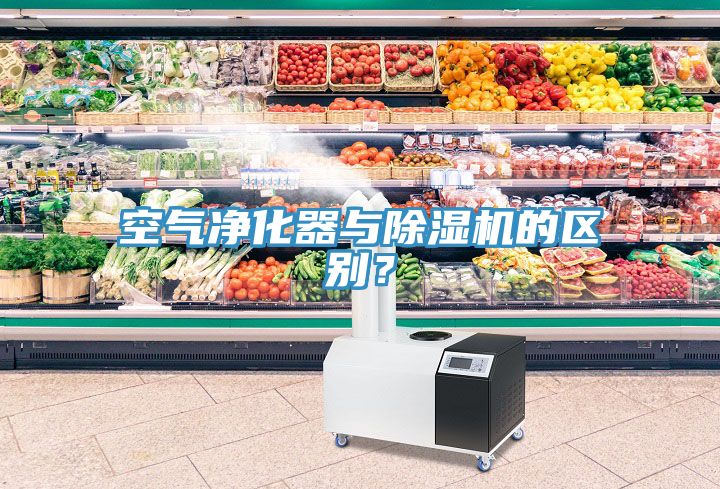 空气净化器与小黄片直播视频的区别？