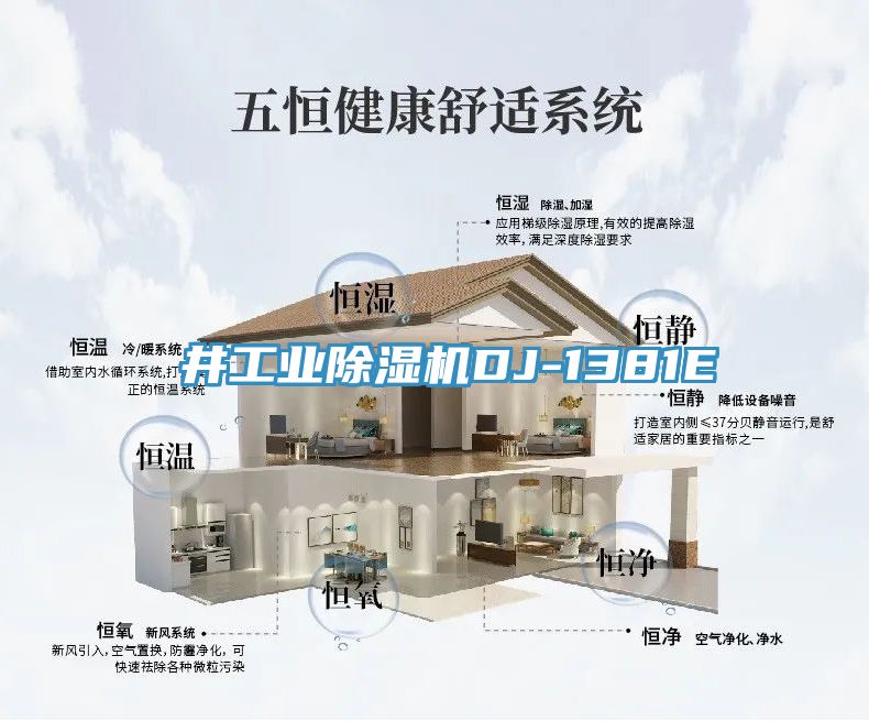 東井工业小黄片直播视频DJ-1381E
