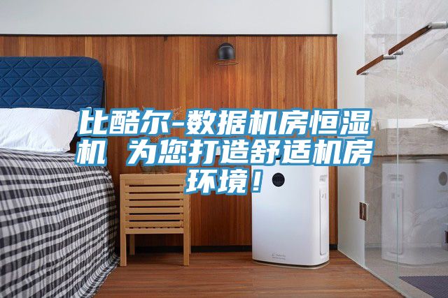 比酷尔-数据机房恒湿机 为您打造舒适机房环境！