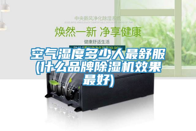 空气湿度多少人最舒服(什么品牌小黄片直播视频效果最好)