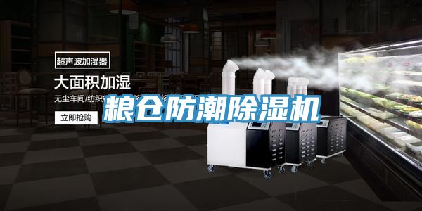 粮仓防潮小黄片直播视频