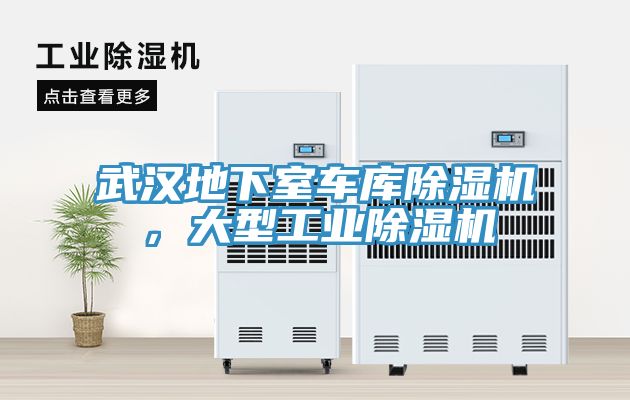 武汉地下室车库小黄片直播视频，大型工业小黄片直播视频