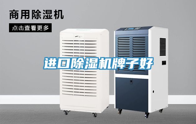 进口小黄片直播视频牌子好
