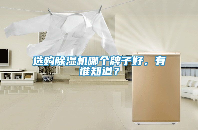 选购小黄片直播视频哪个牌子好，有谁知道？