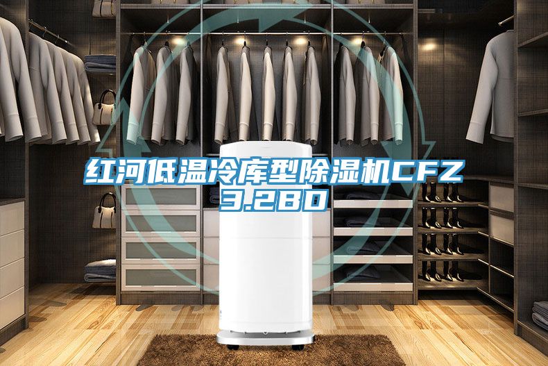 红河低温冷库型小黄片直播视频CFZ3.2BD