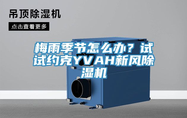 梅雨季节怎么办？试试约克YVAH新风小黄片直播视频