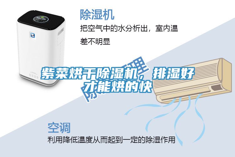 紫菜烘干小黄片直播视频，排湿好才能烘的快
