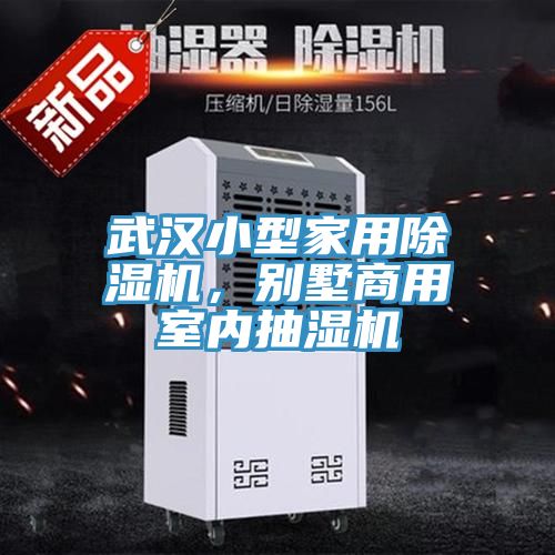 武汉小型家用小黄片直播视频，别墅商用室内抽湿机