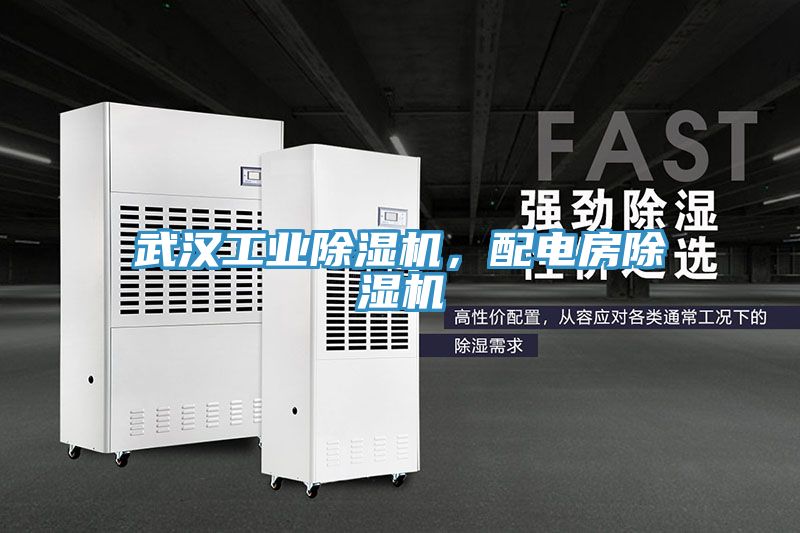 武汉工业小黄片直播视频，配电房小黄片直播视频