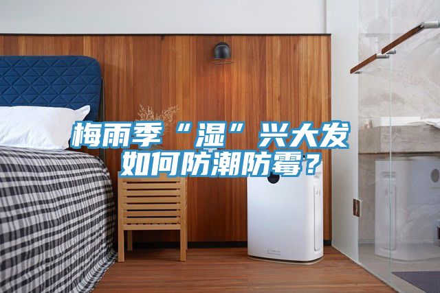 梅雨季“湿”兴大发 如何防潮防霉？