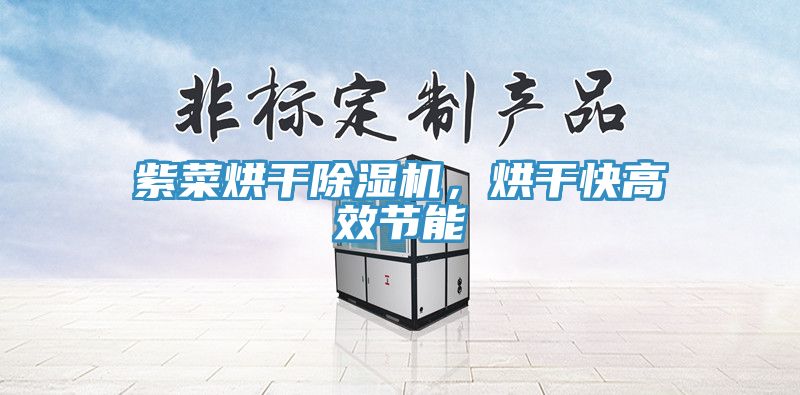 紫菜烘干小黄片直播视频，烘干快高效节能
