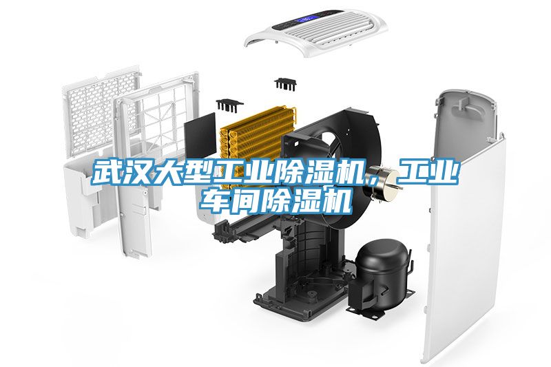 武汉大型工业小黄片直播视频，工业车间小黄片直播视频