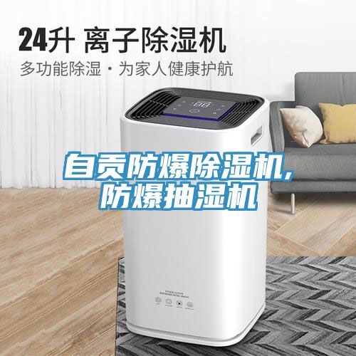 自贡防爆小黄片直播视频,防爆抽湿机