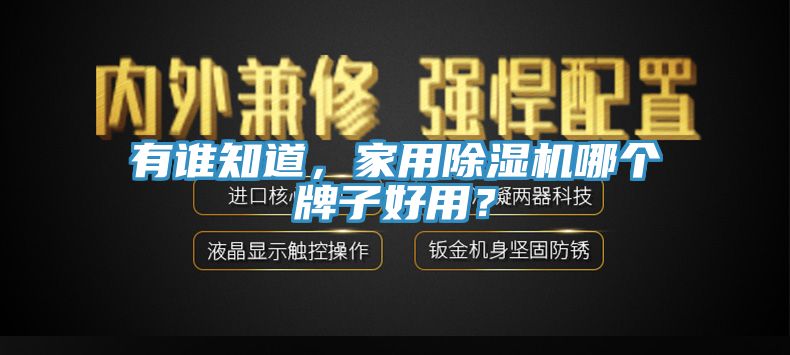 有谁知道，家用小黄片直播视频哪个牌子好用？