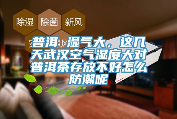 普洱 湿气大，这几天武汉空气湿度大对普洱茶存放不好怎么防潮呢