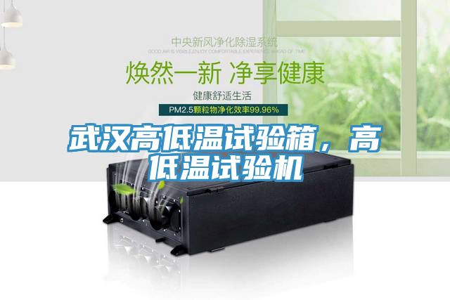 武汉高低温试验箱，高低温试验机