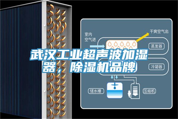武汉工业超声波加湿器，小黄片直播视频品牌