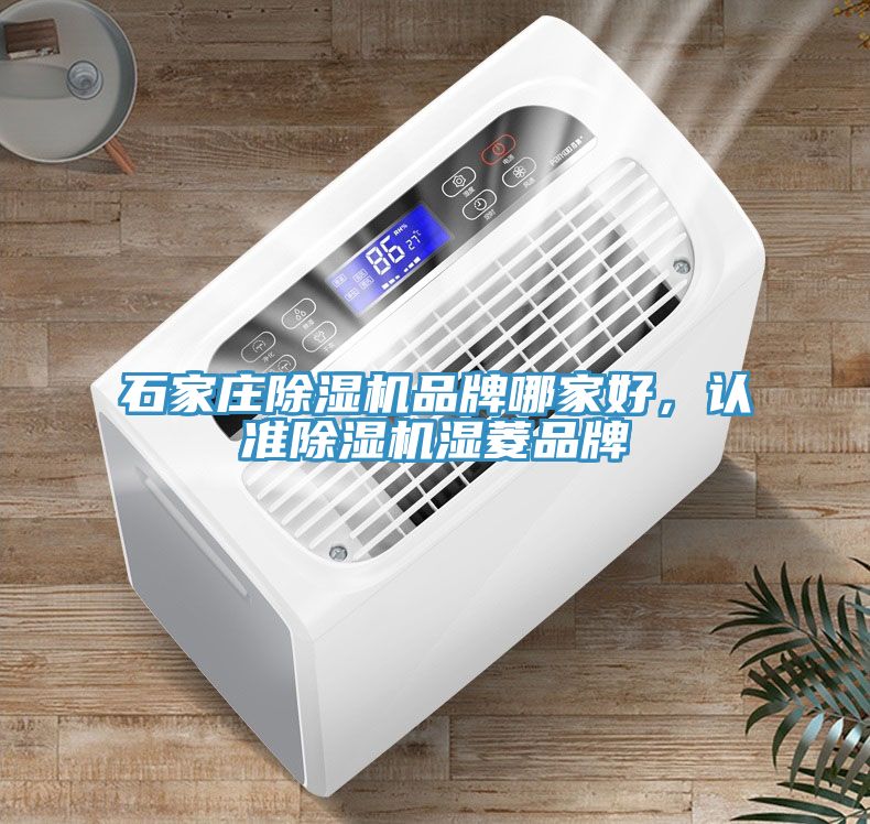 石家庄小黄片直播视频品牌哪家好，认准小黄片直播视频湿菱品牌