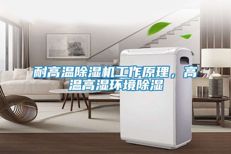 耐高温小黄片直播视频工作原理，高温高湿环境除湿