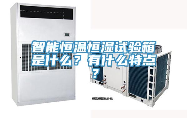 智能恒温恒湿试验箱是什么？有什么特点？