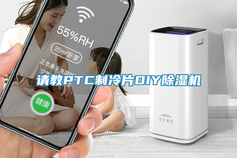 请教PTC制冷片DIY小黄片直播视频