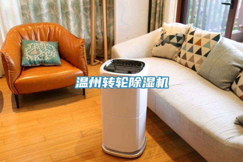 温州转轮小黄片直播视频