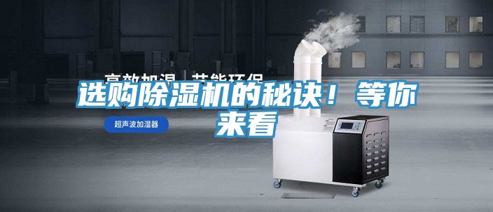 选购小黄片直播视频的秘诀！等你来看