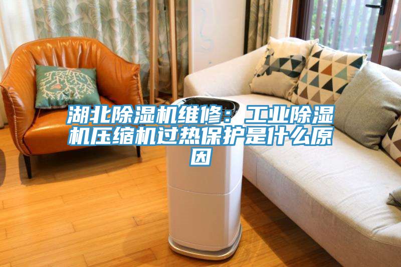 湖北小黄片直播视频维修：工业小黄片直播视频压缩机过热保护是什么原因