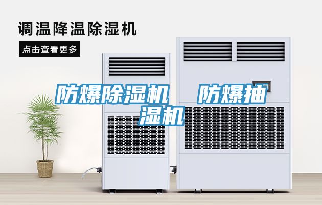 防爆小黄片直播视频  防爆抽湿机