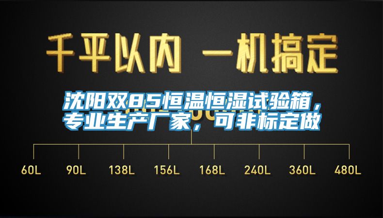 沈阳双85恒温恒湿试验箱，专业生产厂家，可非标定做
