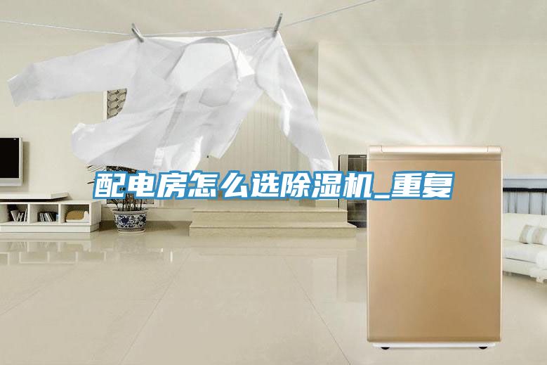 配电房怎么选小黄片直播视频_重复