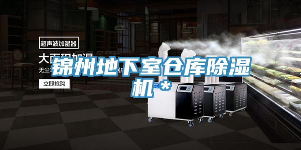 锦州地下室仓库小黄片直播视频＊