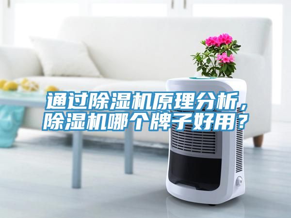 通过小黄片直播视频原理分析，小黄片直播视频哪个牌子好用？
