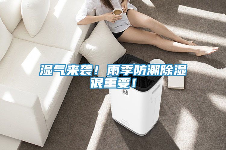 湿气来袭！雨季防潮除湿很重要！