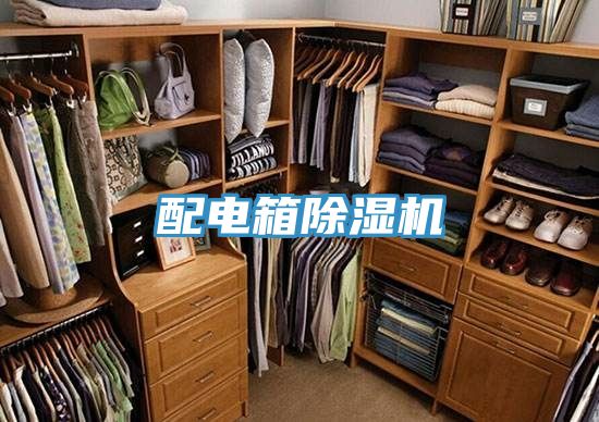 配电箱小黄片直播视频