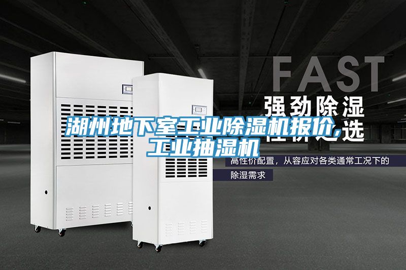 湖州地下室工业小黄片直播视频报价,工业抽湿机