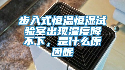 步入式恒温恒湿试验室出现湿度降不下，是什么原因呢
