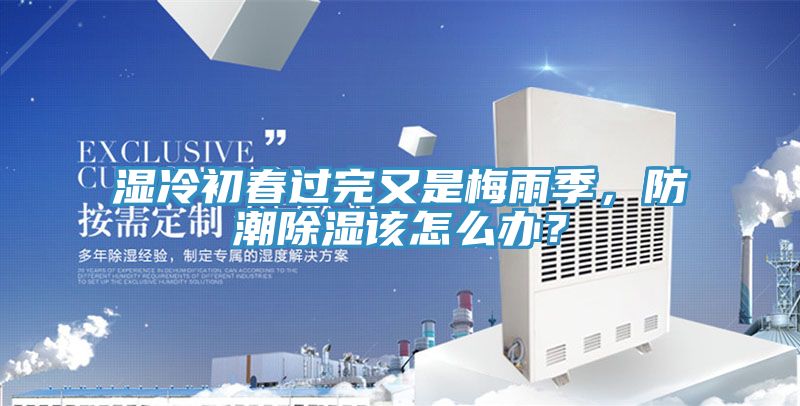 湿冷初春过完又是梅雨季，防潮除湿该怎么办？