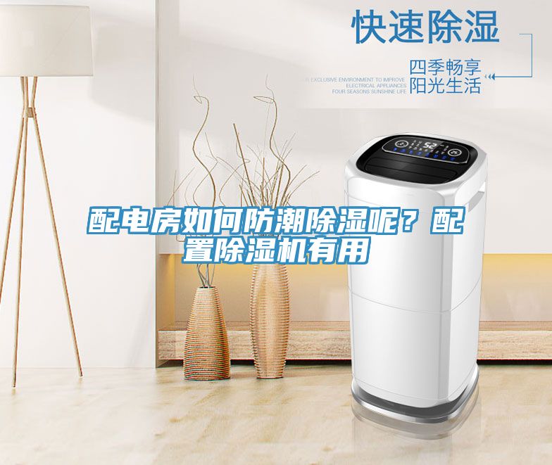 配电房如何防潮除湿呢？配置小黄片直播视频有用
