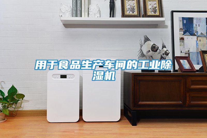 用于食品生产车间的工业小黄片直播视频