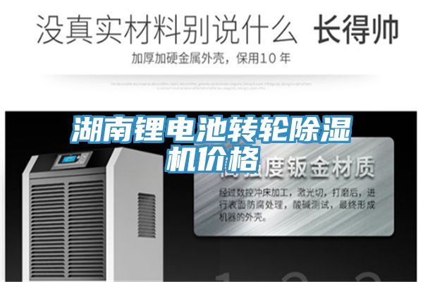 湖南锂电池转轮小黄片直播视频价格